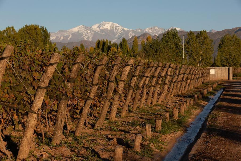 Bodega Durigutti Family Winemakers Villa Las Compuertas Екстериор снимка