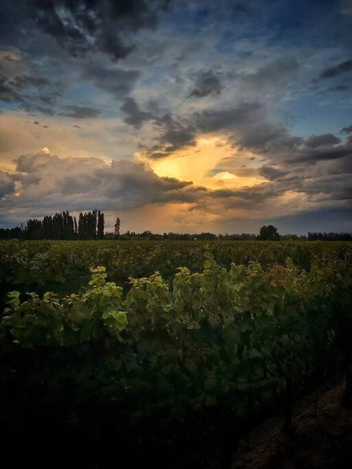 Bodega Durigutti Family Winemakers Villa Las Compuertas Екстериор снимка